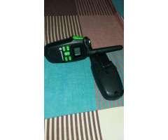 Walkie Talkie Motorola