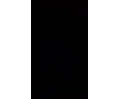 iPhone 5S Perfecto sin Rayones
