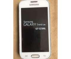 Samsung Trend Lite